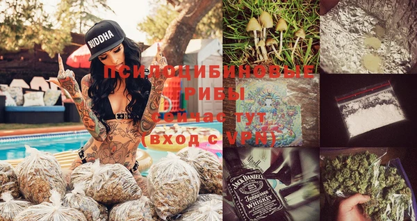 ALPHA PVP Богородицк