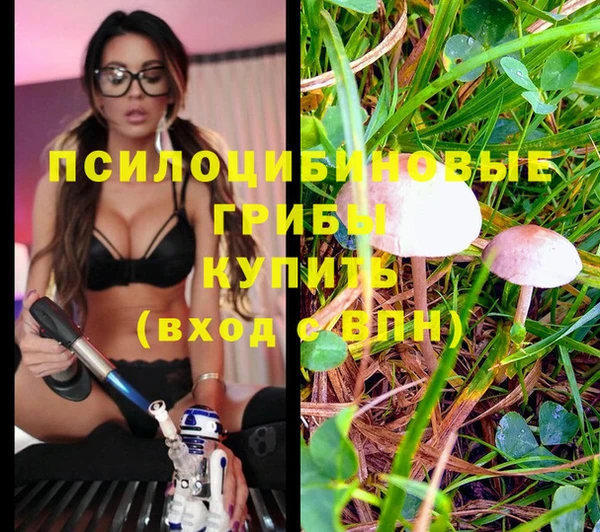 МДМА Богородск